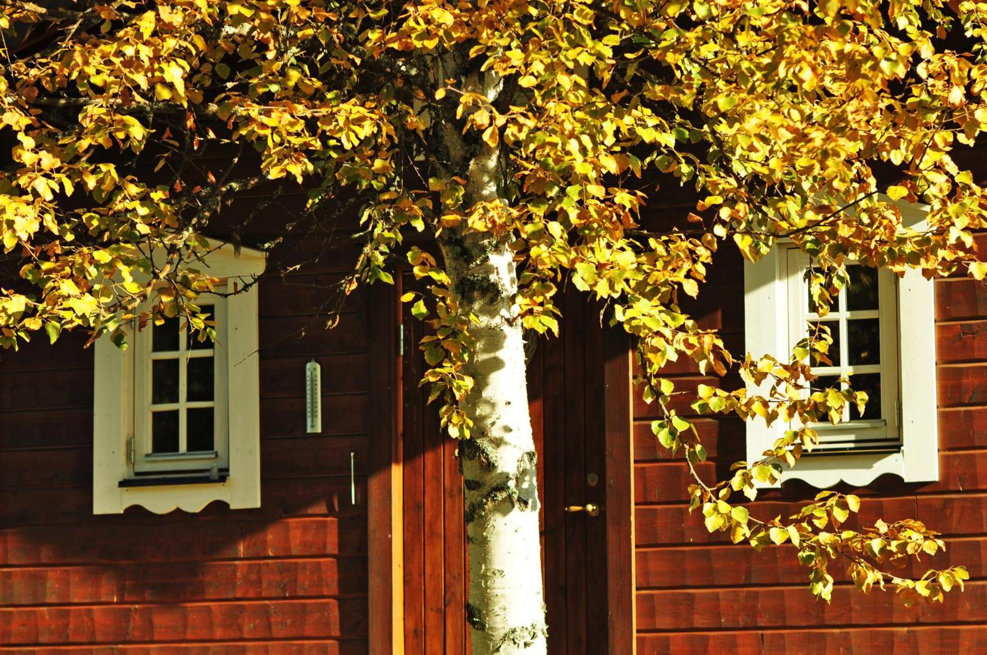 Cottage On Wild River In Lapland/Sweden Karlsten Exterior foto