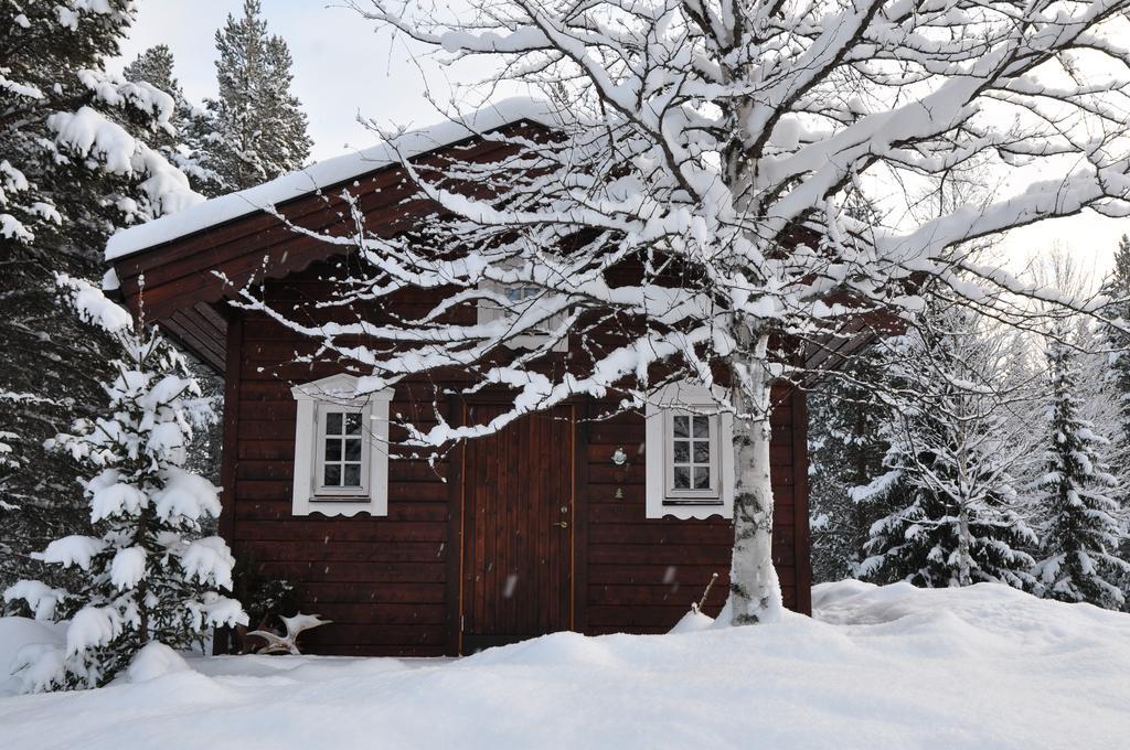 Cottage On Wild River In Lapland/Sweden Karlsten Habitación foto